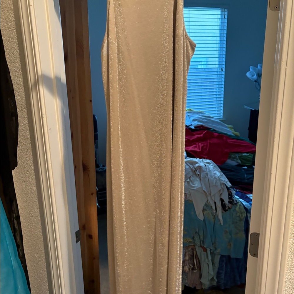 Elegant dazzling silver Sleeveless Dress